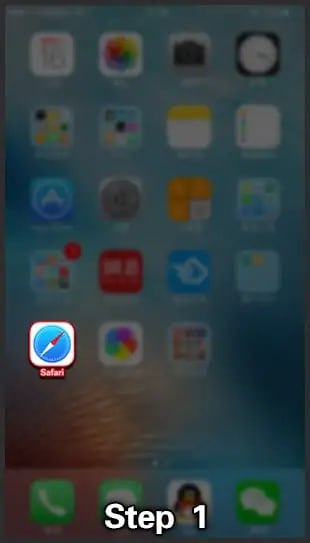 Step 1 screenshot